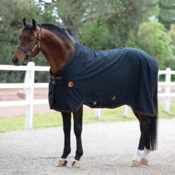 Rambo Ionic Stable Sheet